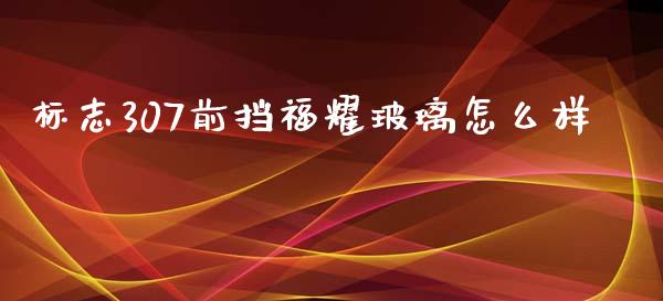 标志307前挡福耀玻璃怎么样_https://wap.lcpcjs.com_全球经济_第1张