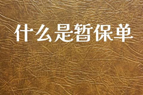 什么是暂保单_https://wap.lcpcjs.com_外汇市场_第1张