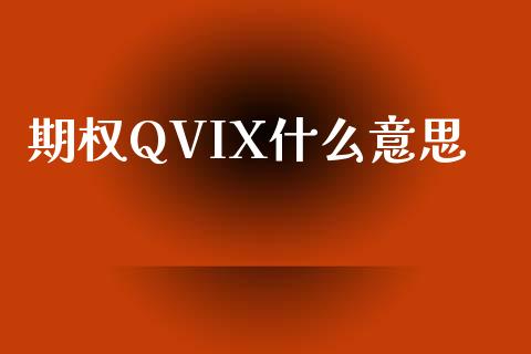 期权QVIX什么意思_https://wap.lcpcjs.com_全球经济_第1张