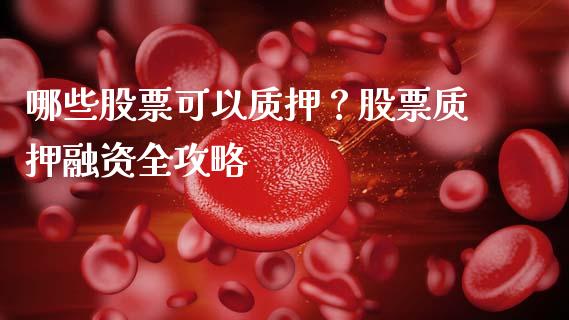 哪些股票可以质押？股票质押融资全攻略_https://wap.lcpcjs.com_全球经济_第1张
