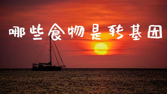 哪些食物是转基因_https://wap.lcpcjs.com_美股行情_第1张