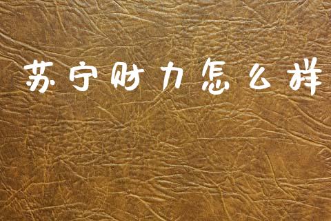 苏宁财力怎么样_https://wap.lcpcjs.com_全球经济_第1张