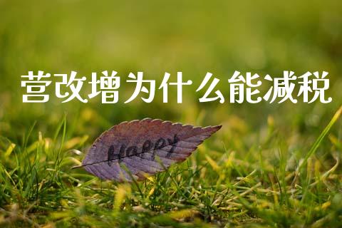 营改增为什么能减税_https://wap.lcpcjs.com_全球经济_第1张