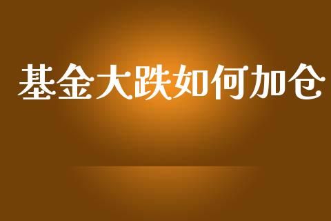 基金大跌如何加仓_https://wap.lcpcjs.com_外汇市场_第1张