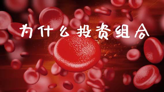 为什么投资组合_https://wap.lcpcjs.com_外汇市场_第1张