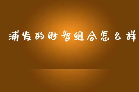浦发的财智组合怎么样_https://wap.lcpcjs.com_全球经济_第1张