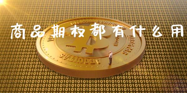 商品期权都有什么用_https://wap.lcpcjs.com_外汇市场_第1张