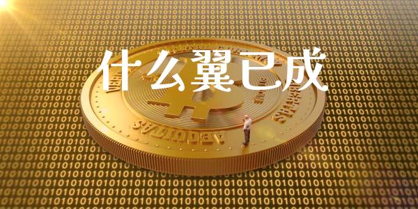 什么翼已成_https://wap.lcpcjs.com_美股行情_第1张