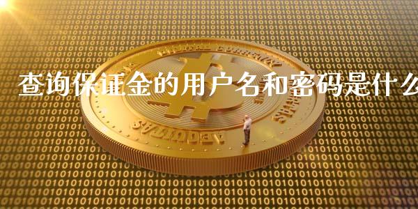 查询保证金的用户名和密码是什么_https://wap.lcpcjs.com_全球经济_第1张