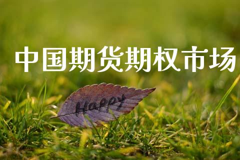 中国期货期权市场_https://wap.lcpcjs.com_美股行情_第1张