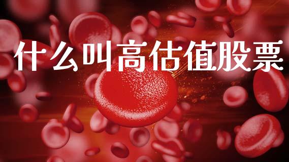 什么叫高估值股票_https://wap.lcpcjs.com_股港行情_第1张