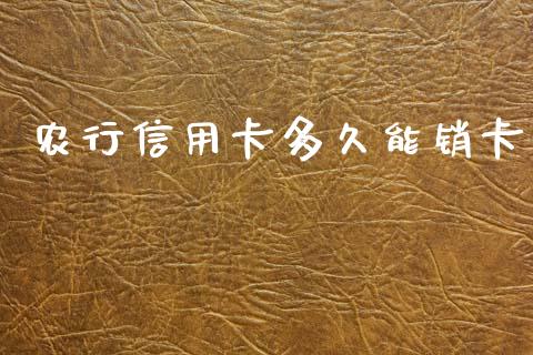 农行信用卡多久能销卡_https://wap.lcpcjs.com_美股行情_第1张