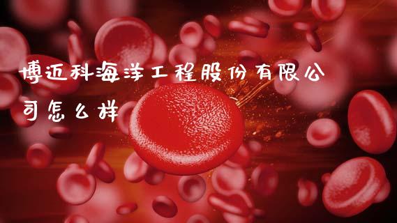 博迈科海洋工程股份有限公司怎么样_https://wap.lcpcjs.com_外汇市场_第1张