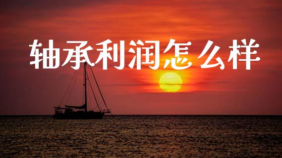 轴承利润怎么样_https://wap.lcpcjs.com_股港行情_第1张