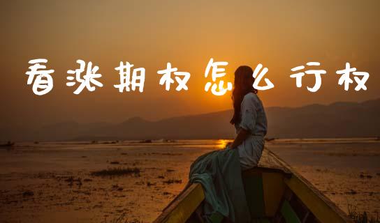 看涨期权怎么行权_https://wap.lcpcjs.com_美股行情_第1张