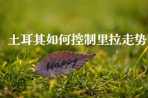 土耳其如何控制里拉走势_https://wap.lcpcjs.com_外汇市场_第1张