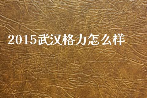 2015武汉格力怎么样_https://wap.lcpcjs.com_股港行情_第1张