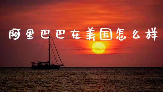 阿里巴巴在美国怎么样_https://wap.lcpcjs.com_外汇市场_第1张