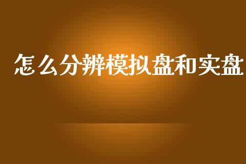 怎么分辨模拟盘和实盘_https://wap.lcpcjs.com_美股行情_第1张