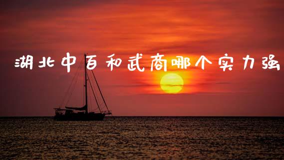 湖北中百和武商哪个实力强_https://wap.lcpcjs.com_全球经济_第1张
