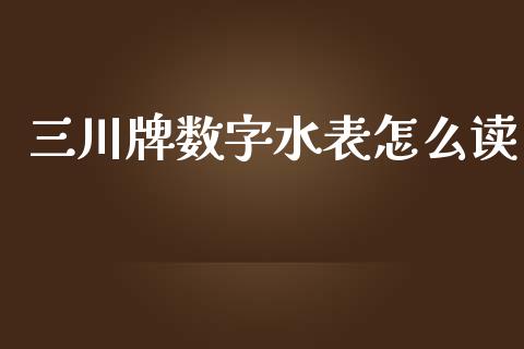 三川牌数字水表怎么读_https://wap.lcpcjs.com_外汇市场_第1张