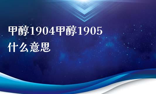 甲醇1904甲醇1905什么意思_https://wap.lcpcjs.com_外汇市场_第1张