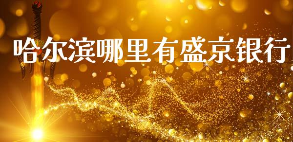 哈尔滨哪里有盛京银行_https://wap.lcpcjs.com_外汇市场_第1张