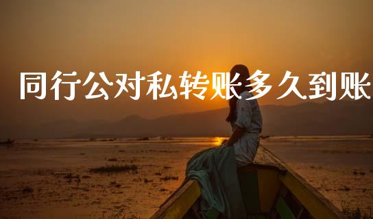 同行公对私转账多久到账_https://wap.lcpcjs.com_全球经济_第1张