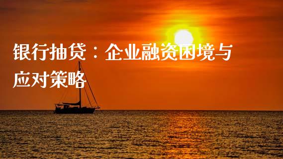 银行抽贷：企业融资困境与应对策略_https://wap.lcpcjs.com_外汇市场_第1张