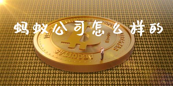 蚂蚁公司怎么样的_https://wap.lcpcjs.com_外汇市场_第1张