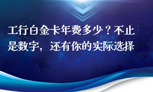 工行白金卡年费多少？不止是数字，还有你的实际选择_https://wap.lcpcjs.com_外汇市场_第1张