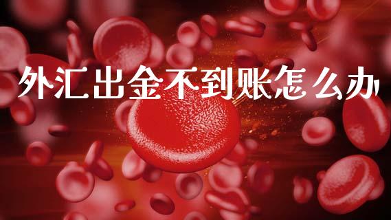 外汇出金不到账怎么办_https://wap.lcpcjs.com_美股行情_第1张