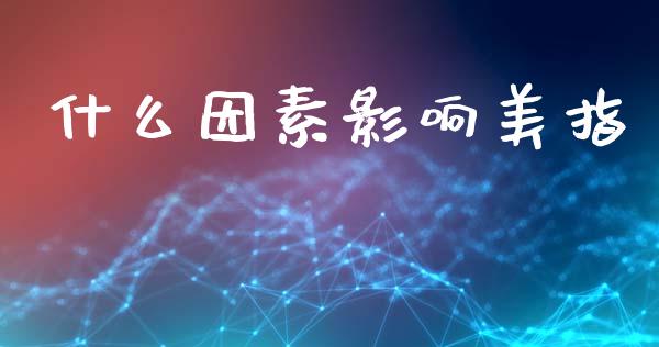 什么因素影响美指_https://wap.lcpcjs.com_外汇市场_第1张