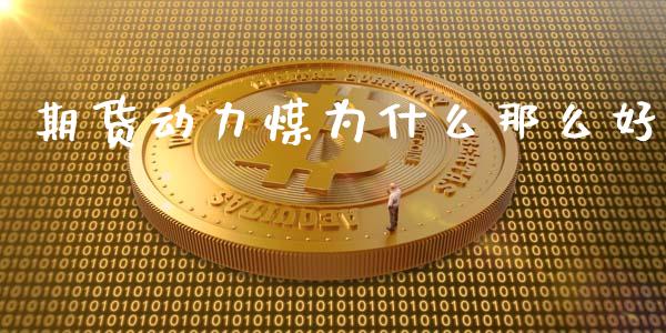 期货动力煤为什么那么好_https://wap.lcpcjs.com_外汇市场_第1张