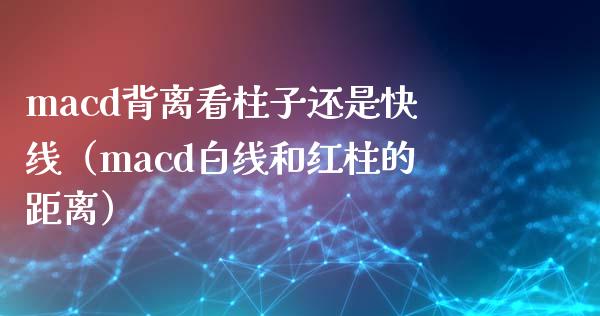 macd背离看柱子还是快线（macd白线和红柱的距离）_https://wap.lcpcjs.com_全球经济_第1张