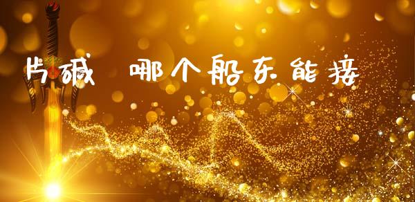 片碱  哪个船东能接_https://wap.lcpcjs.com_美股行情_第1张