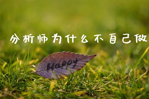 分析师为什么不自己做_https://wap.lcpcjs.com_外汇市场_第1张