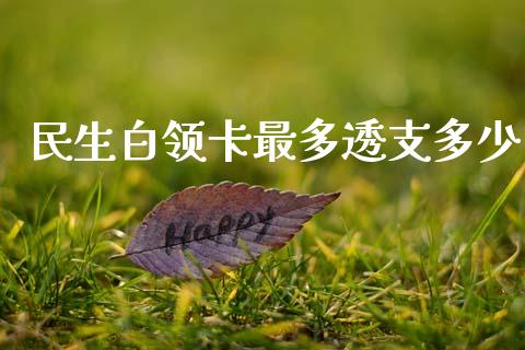 民生白领卡最多透支多少_https://wap.lcpcjs.com_外汇市场_第1张