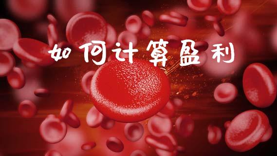 如何计算盈利_https://wap.lcpcjs.com_股港行情_第1张