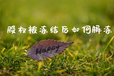 股权被冻结后如何解冻_https://wap.lcpcjs.com_美股行情_第1张