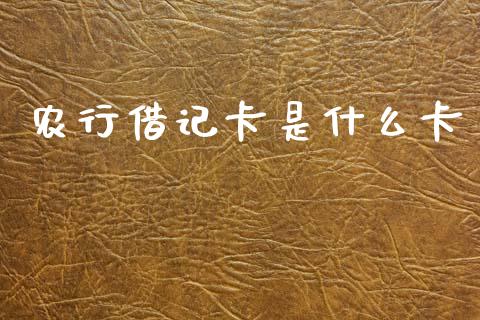 农行借记卡是什么卡_https://wap.lcpcjs.com_股港行情_第1张
