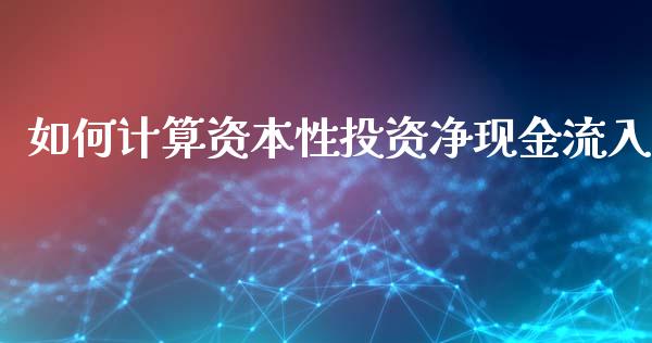如何计算资本性投资净现金流入_https://wap.lcpcjs.com_全球经济_第1张