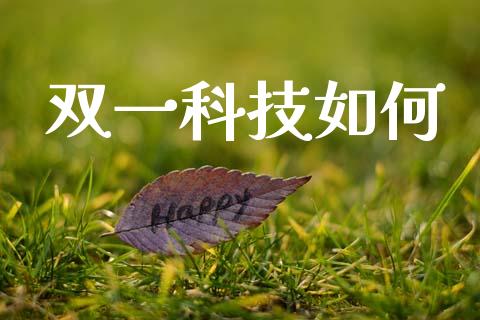 双一科技如何_https://wap.lcpcjs.com_全球经济_第1张