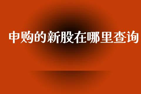 申购的新股在哪里查询_https://wap.lcpcjs.com_股港行情_第1张