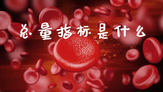 总量指标是什么_https://wap.lcpcjs.com_外汇市场_第1张