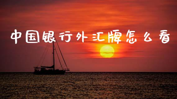 中国银行外汇牌怎么看_https://wap.lcpcjs.com_外汇市场_第1张
