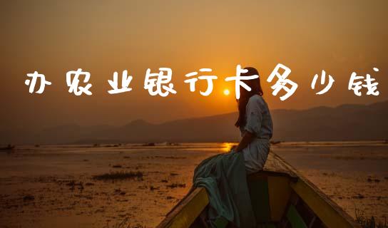 办农业银行卡多少钱_https://wap.lcpcjs.com_外汇市场_第1张