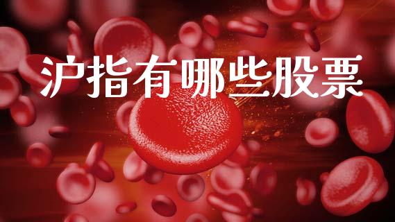 沪指有哪些股票_https://wap.lcpcjs.com_美股行情_第1张