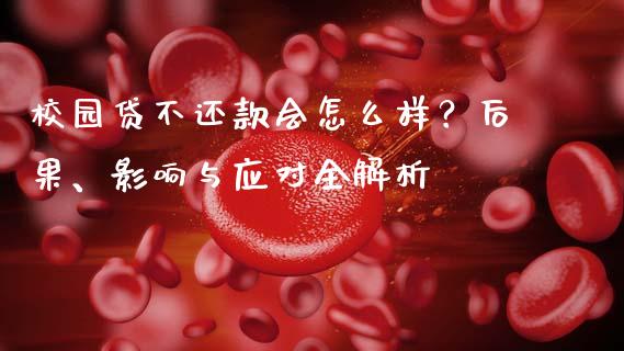 校园贷不还款会怎么样？后果、影响与应对全解析_https://wap.lcpcjs.com_外汇市场_第1张