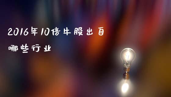 2016年10倍牛股出自哪些行业_https://wap.lcpcjs.com_美股行情_第1张